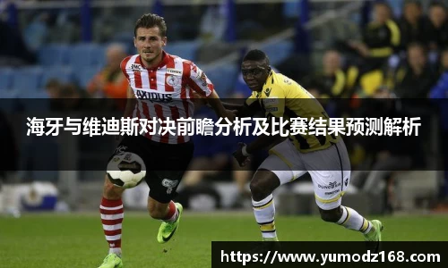 海牙与维迪斯对决前瞻分析及比赛结果预测解析