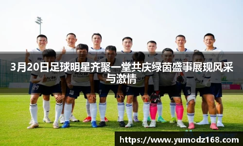 3月20日足球明星齐聚一堂共庆绿茵盛事展现风采与激情